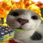 How Memes Have Changed Online Communication