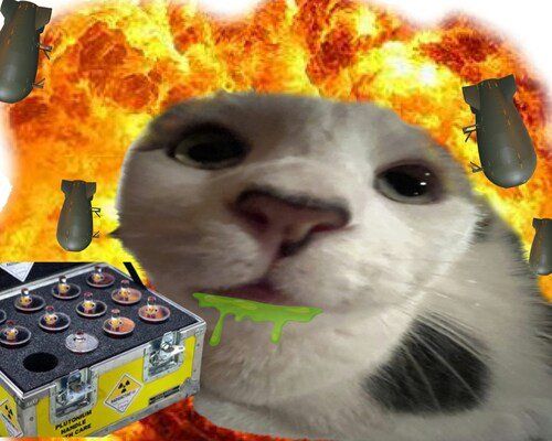 How Memes Have Changed Online Communication